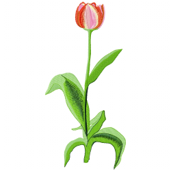 Flowers Embroidery Design 5